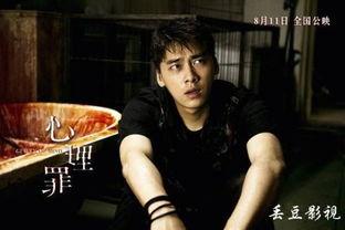 心理罪24集在线观看,揭秘心理罪案背后的心理战